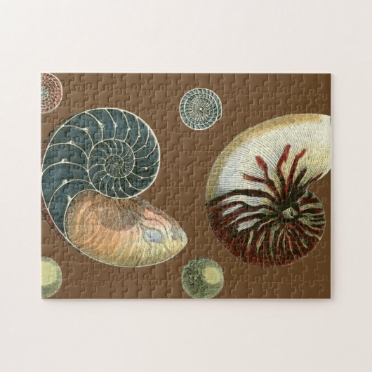 Coca Shell Legpuzzel (Horizontaal)