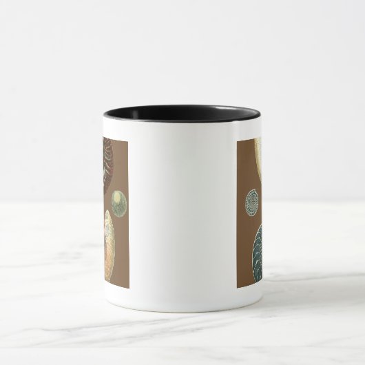 Coca Shell Mok (Midden)