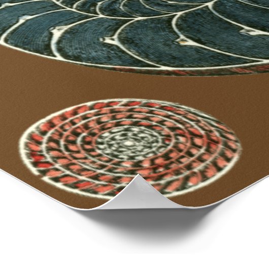 Coca Shell Poster (Hoek)