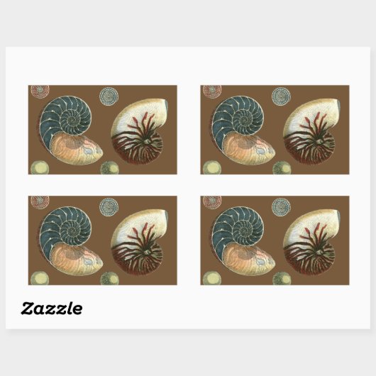 Coca Shell Rechthoekige Sticker (Vel)