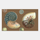 Coca Shell Rechthoekige Sticker (Voorkant)