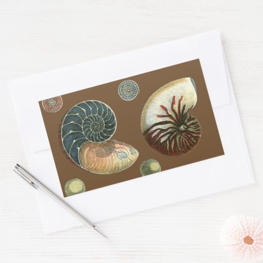 Coca Shell Rechthoekige Sticker (Envelop)