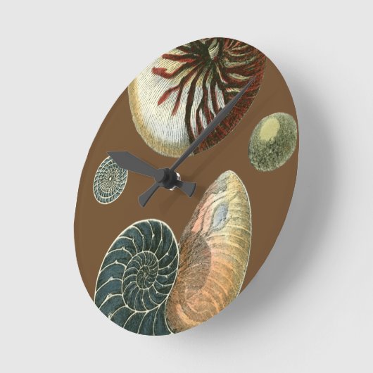 Coca Shell Ronde Klok (Hoek)