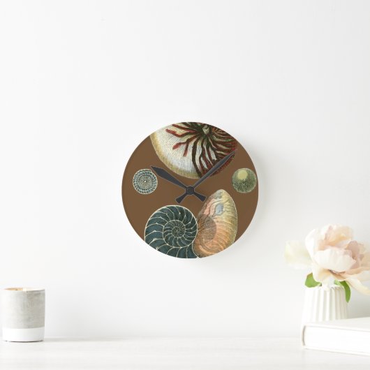 Coca Shell Ronde Klok (Huis)