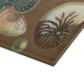 Coca Shell Snijplank (Hoek)