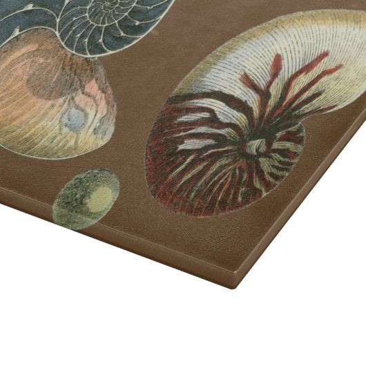 Coca Shell Snijplank (Hoek)