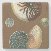 Coca Shell Stenen Onderzetter (Voorkant)