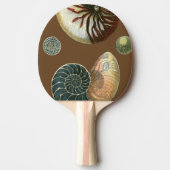 Coca Shell Tafeltennisbatje (Voorkant)