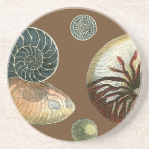 Coca Shell Zandsteen Onderzetter