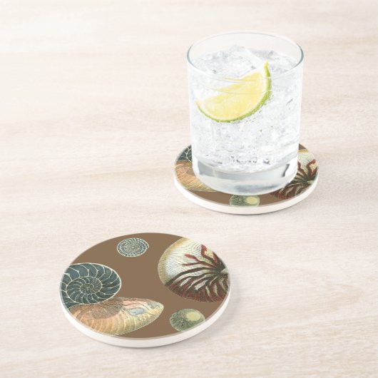 Coca Shell Zandsteen Onderzetter (Zijkant)