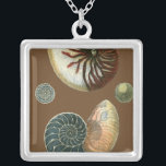 Coca Shell Zilver Vergulden Ketting<br><div class="desc">Haal dit unieke,  met een mondspoeling gewassen rode en blauwe Conch seashell-afbeelding op je volgende product. Deze geweldige cacao achtergrond deze twee unieke seizoenshellen. Neem het strand mee waar je ook gaat.</div>