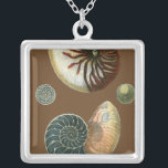 Coca Shell Zilver Vergulden Ketting<br><div class="desc">Haal dit unieke,  met een mondspoeling gewassen rode en blauwe Conch seashell-afbeelding op je volgende product. Deze geweldige cacao achtergrond deze twee unieke seizoenshellen. Neem het strand mee waar je ook gaat.</div>