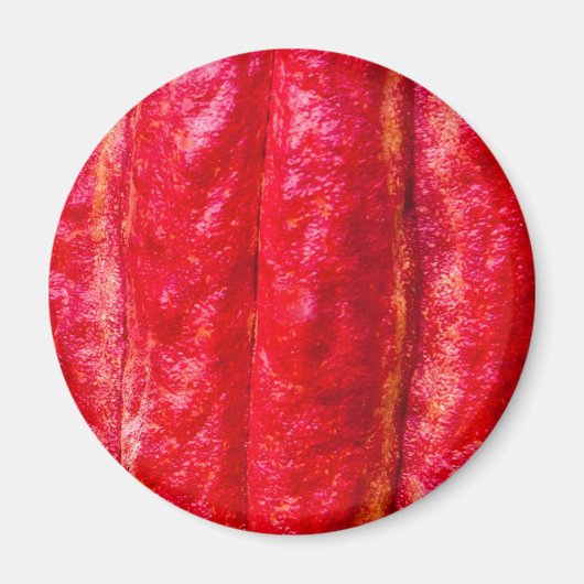cocaovrucht rood magneet (Voorkant)