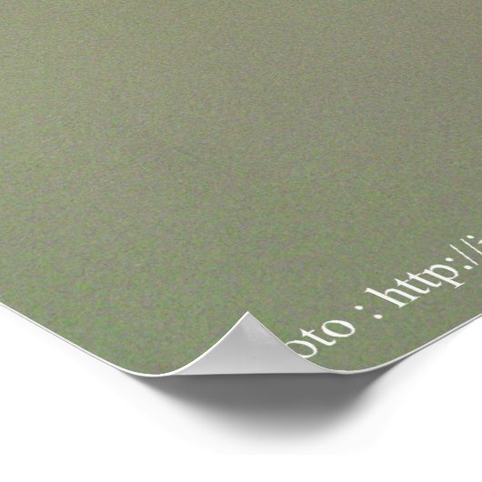 coccinelle poster (Hoek)