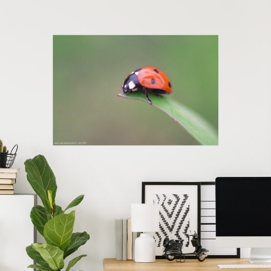 coccinelle poster (Thuiskantoor)