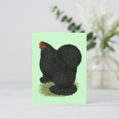 Cochin:  Black Hen Briefkaart (Staand voorkant)