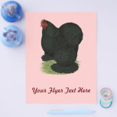 Cochin: Black Hen Flyer (Enkel)