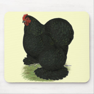 Cochin: Black Hen Muismat