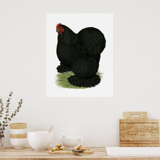 Cochin: Black Hen Poster (Keuken)