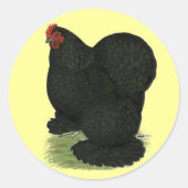 Cochin: Black Hen Ronde Sticker (Voorkant)