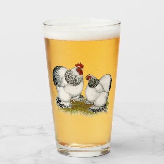 Cochin Columbian Bantams Glas (Voorkant gevuld)