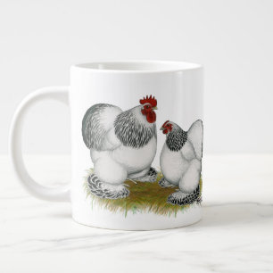 Cochin Columbian Bantams Grote Koffiekop