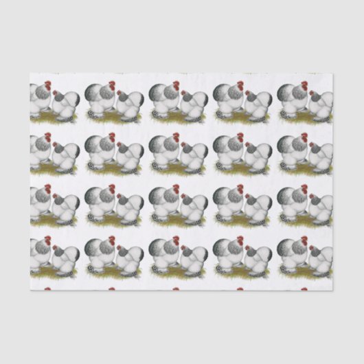 Cochin Columbian Bantams Tissuepapier (Voorkant)