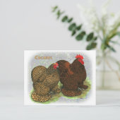 Cochin: Golden-laced2 Briefkaart (Staand voorkant)