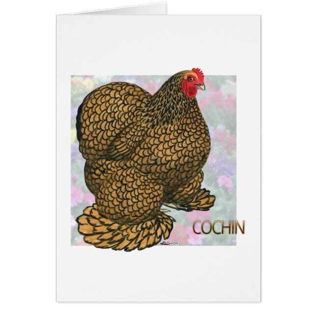 Cochin:  Goudlaced Hen (Voorkant)