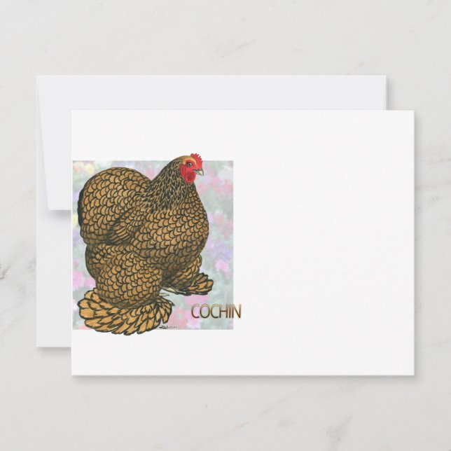 Cochin: Goudlaced Hen (Voorkant)