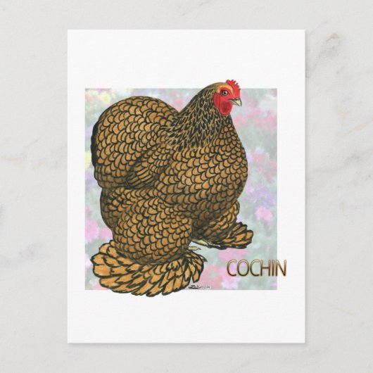 Cochin:  Goudlaced Hen Briefkaart (Voorkant)