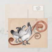  cochin kippen briefkaart (Voorkant / Achterkant)