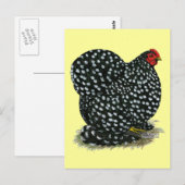 Cochin Mottled Hen Briefkaart (Voorkant / Achterkant)