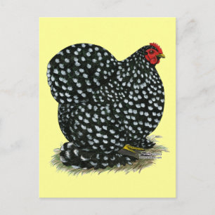 Cochin Mottled Hen Briefkaart