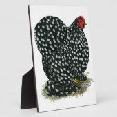 Cochin Mottled Hen Fotoplaat (Zijkant)