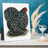 Cochin Mottled Hen Fotoplaat (Zijkant)