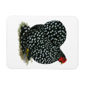 Cochin Mottled Hen Magneet (Horizontaal)