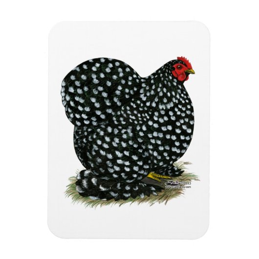 Cochin Mottled Hen Magneet (Verticaal)