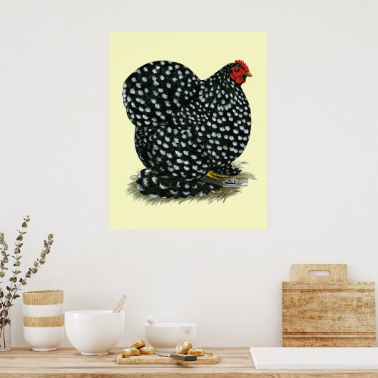 Cochin Mottled Hen Poster (Keuken)