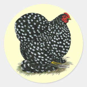 Cochin Mottled Hen Ronde Sticker