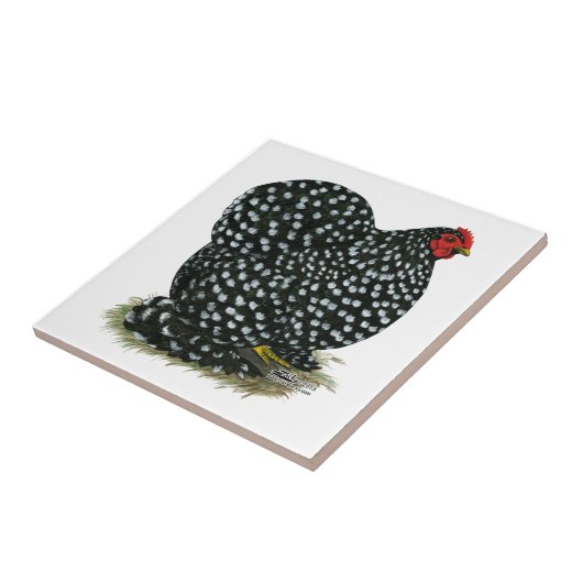 Cochin Mottled Hen Tegeltje (Zijkant)