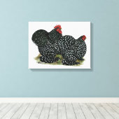 Cochin Mottled kippen Canvas Afdruk (Insitu (Houten vloer))