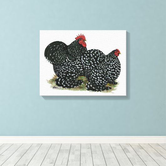 Cochin Mottled kippen Canvas Afdruk (Insitu (Houten vloer))