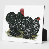 Cochin Mottled kippen Fotoplaat (Zijkant)