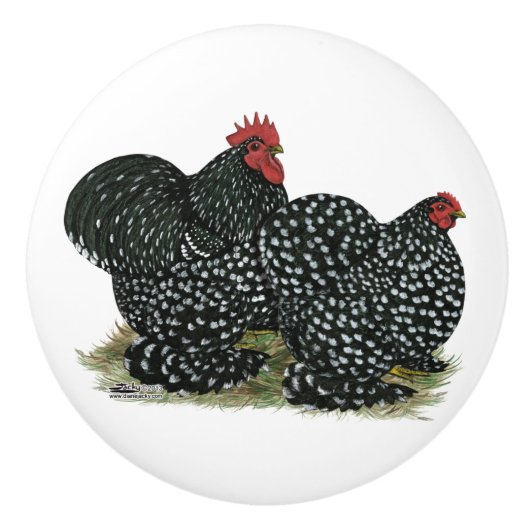 Cochin Mottled kippen Keramische Knop (Voorkant)