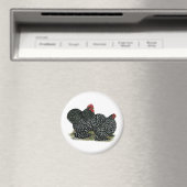 Cochin Mottled kippen Magneet (Insitu (Vaatwasser))