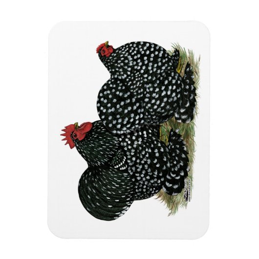 Cochin Mottled kippen Magneet (Verticaal)