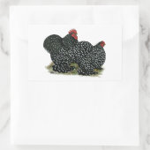 Cochin Mottled kippen Rechthoekige Sticker (Tas)