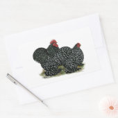 Cochin Mottled kippen Rechthoekige Sticker (Envelop)