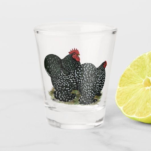 Cochin Mottled kippen Shot Glas (Voorkant)